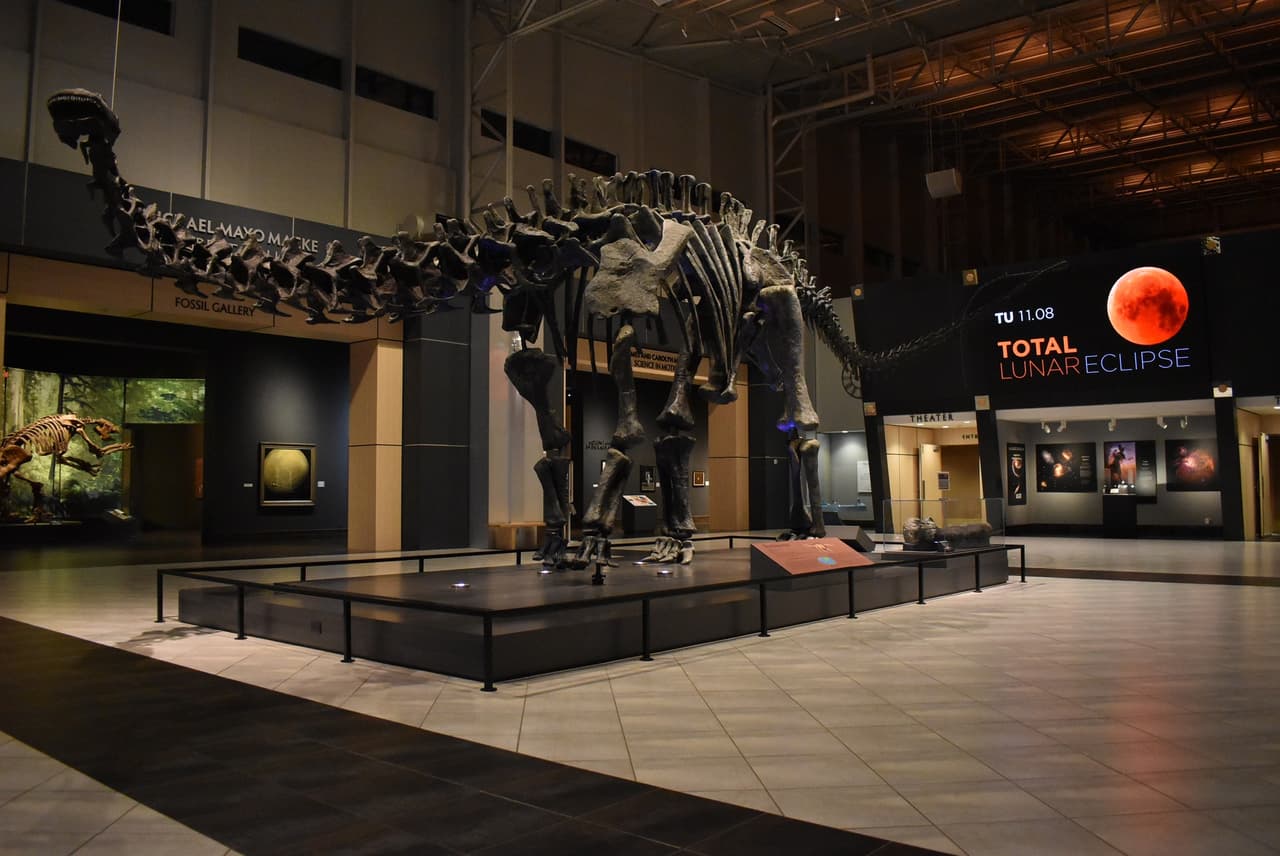 <b>Tellus Science Museum (Cartersville)</b>
<br>
<b>Sitio web</b>: 
<a href="https://tellusmuseum.org/">https://tellusmuseum.org/</a> 
<br>
<b><a href="https://maps.app.goo.gl/hZMD2JY7Qozw3v5g7">Cómo llegar</a> </b>
<br>
<br>El museo busca involucrar, educar e inspirar a los visitantes a hacer conexiones científicas a través de exhibiciones dinámicas y experiencias enriquecedoras.