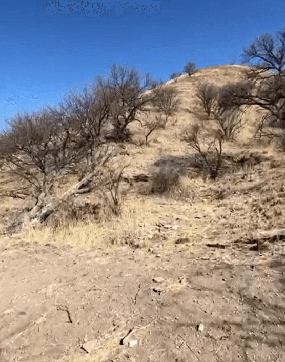 "No se preocupen, familia. 
<b>Yo voy a estar bien</b>", dijo Aguida, con el aliento cortado, agitada. También admitió que el traficante de personas que la llevaba la había abandonado.
