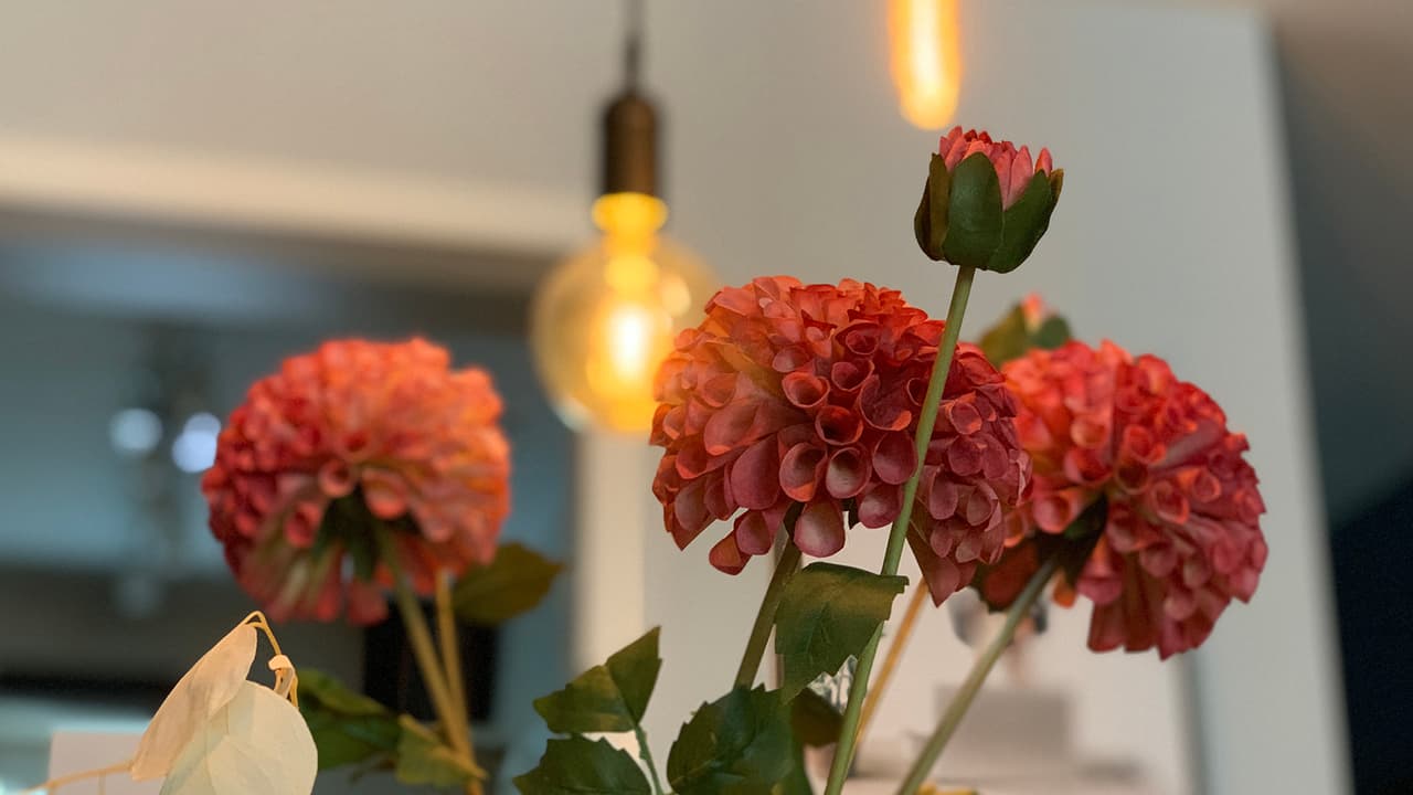 Para más consejos y herramientas para ahorrar energía eléctrica consulta CenterPointEnergy.com/EnergySavingTips.