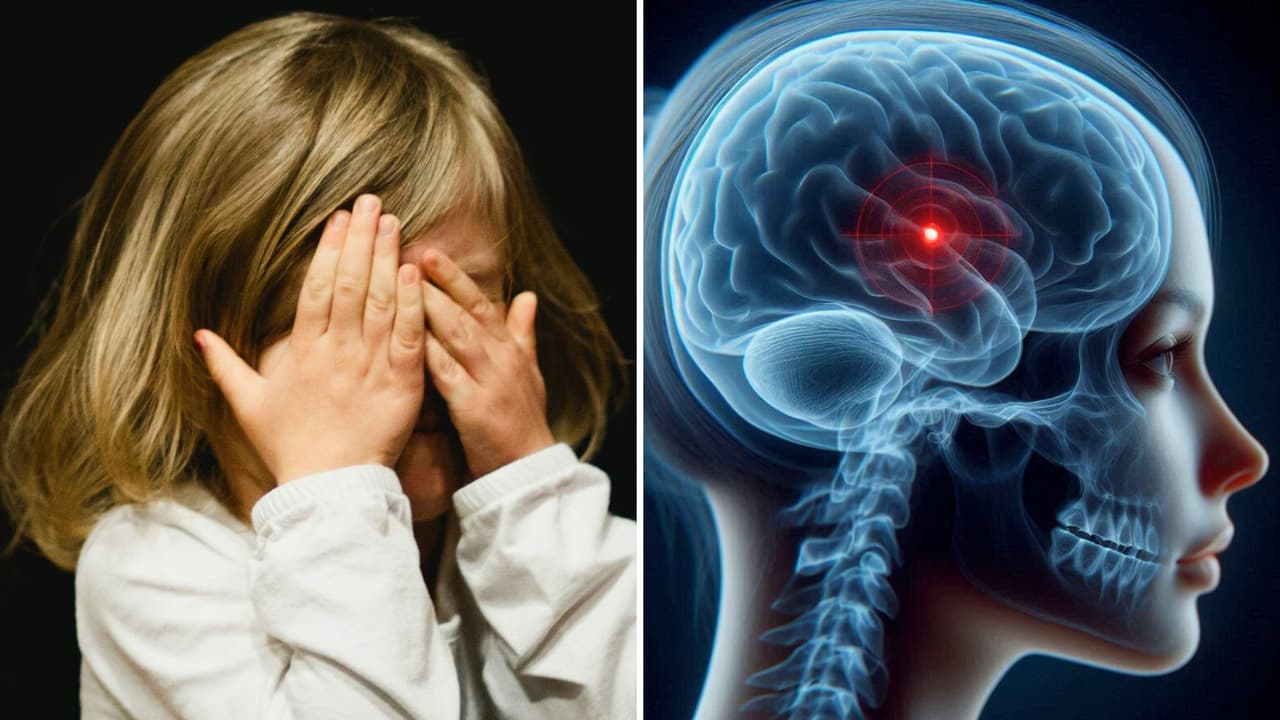 ¿Quisieras dejar de sentir temor? Descubren 'interruptor del miedo" en el cerebro y cómo apagarlo