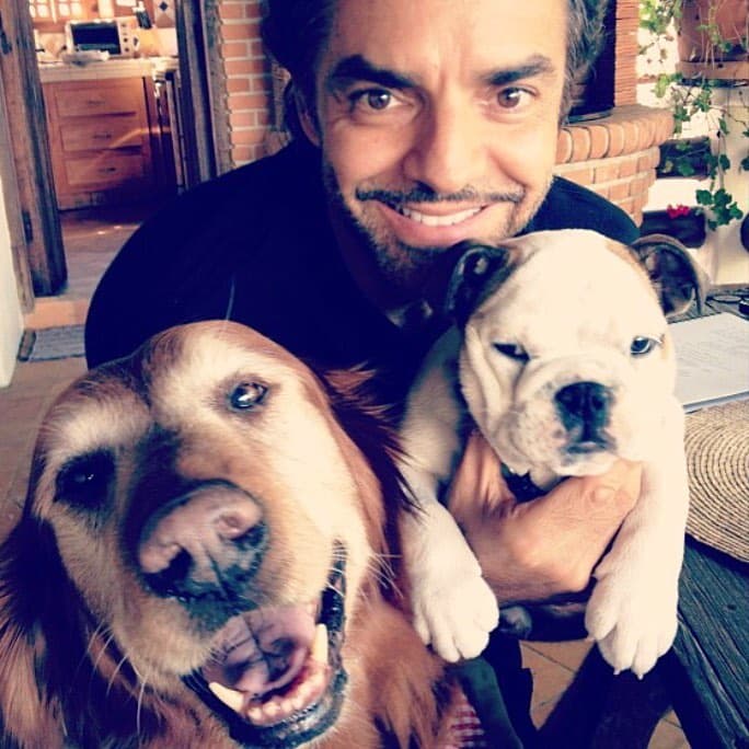 En sus redes sociales, comparte mensajes en los que solicita respeto hacia las mascotas e invita a "apapachar" y pasear a los perritos.