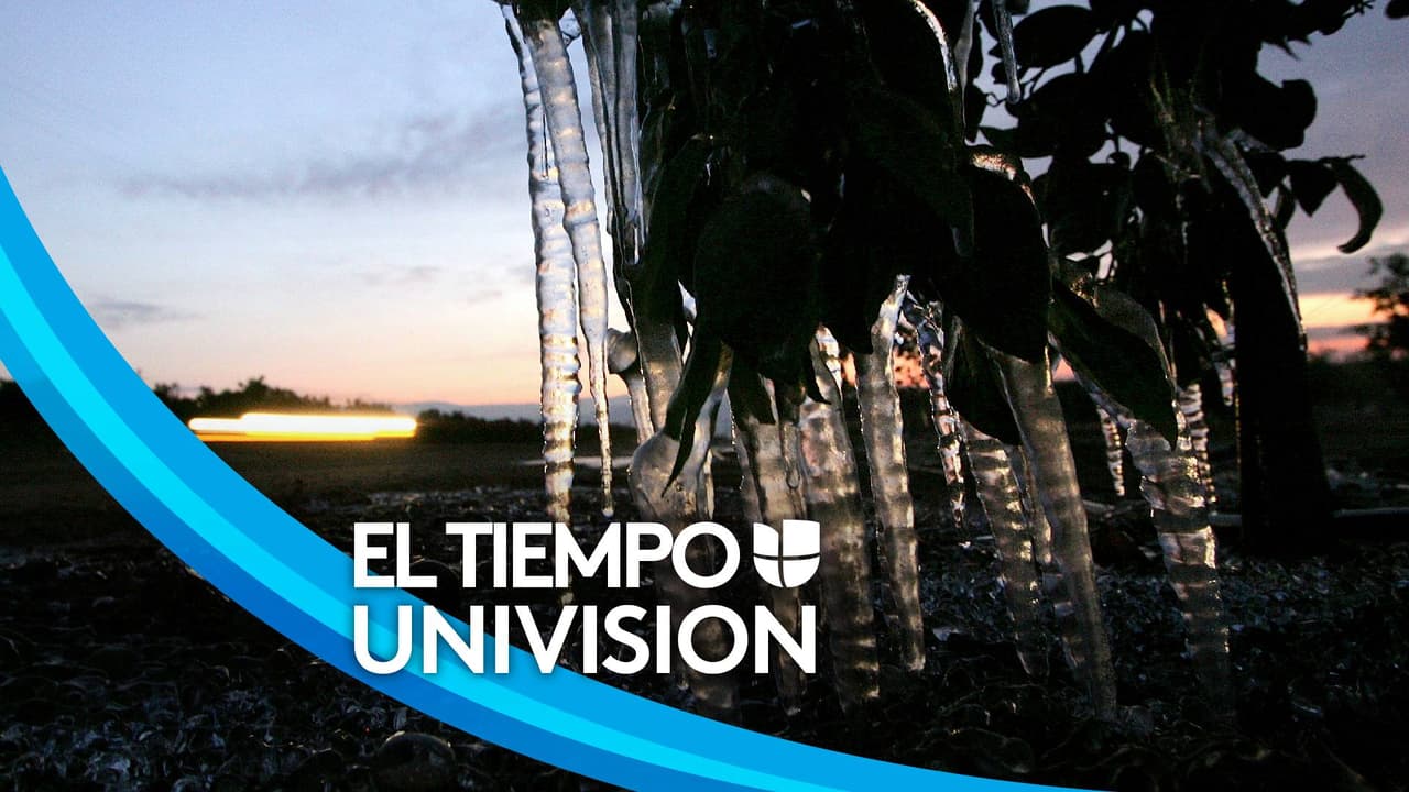 Alerta por heladas y temperaturas congelantes en el sur de California