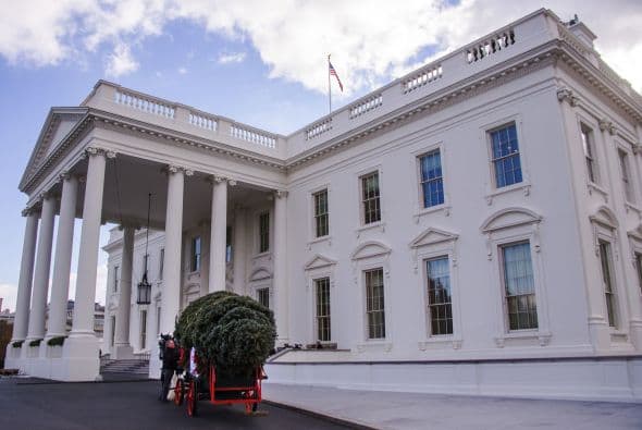 El abeto de Colorado de seis metros de altura proviene de Pennsylvania y fue recibido por las hijas de Obama.