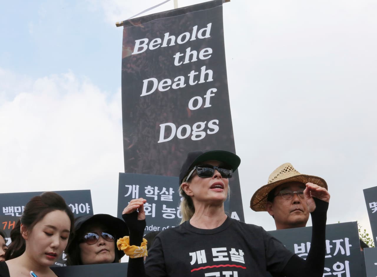 La actriz estadounidense Kim Basinger participó activamente en apoyo a la prohibición absoluta de la venta y consumo de carne de perro en el país asiático. En la imagen se muestra a la actriz gritar consignas junto a un grupo de activistas defensores de los animales.