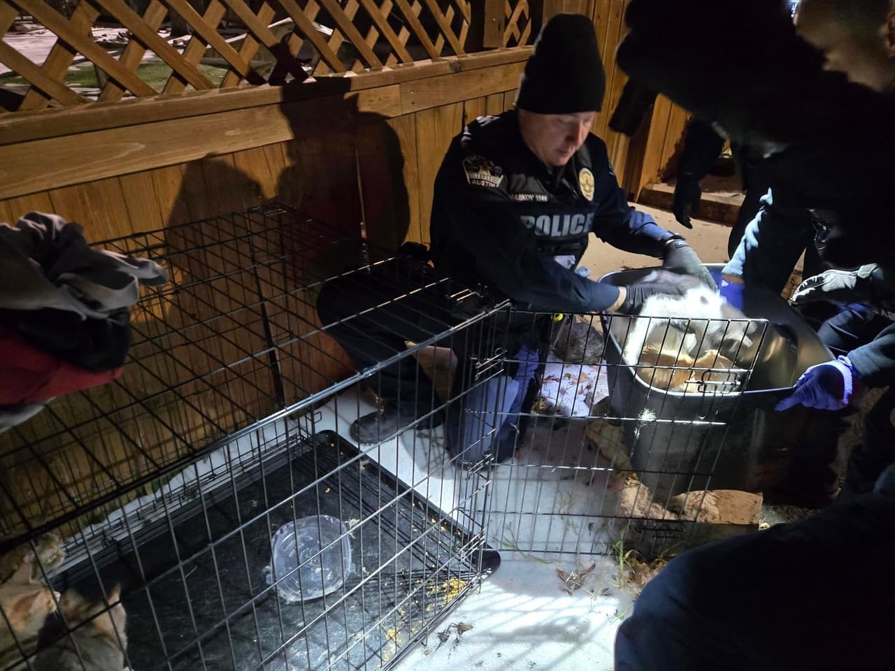 No se sabe cuánto tiempo llevaban las mascotas en la intemperie, sin refugio, comida o agua.