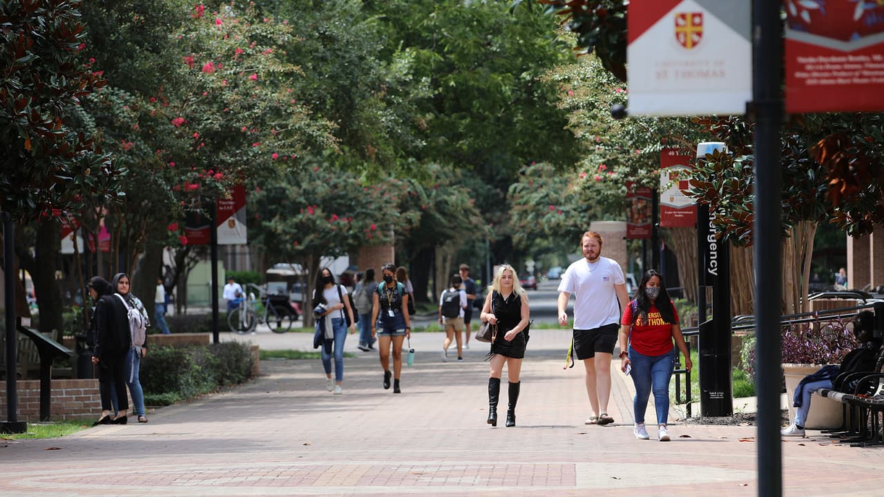 Se trata de programas de educación multidisciplinaria enfocados en aquellas personas que quieren obtener un título para una carrera universitaria en áreas de ciencias, tecnología y negocios.
