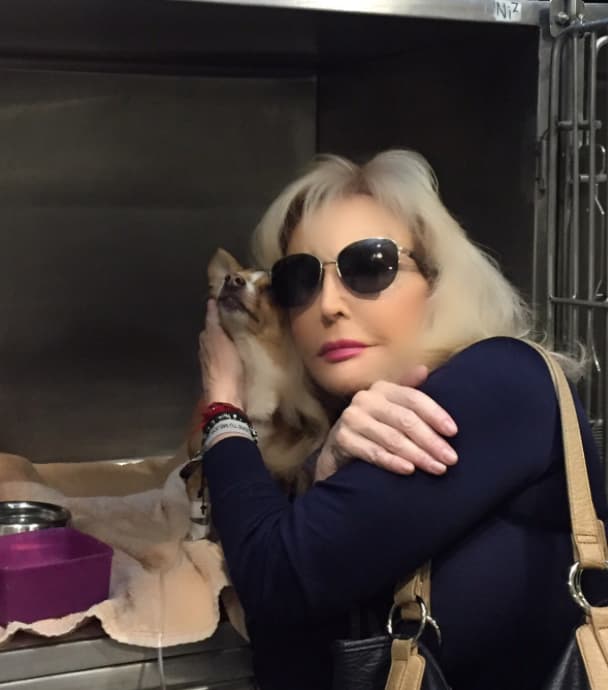 En septiembre del 2017, Uribe publicó un video donde pidió trabajo para poder arreglar los daños que el terremoto ocurrido en la Ciudad de México provocó en su casa.