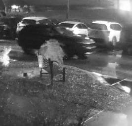 Las autoridades siguen la pista a un grupo de ladrones que robaron en 26 autos la madrugada de este martes en un lapso de 120 minutos en varios estacionamientos de hoteles y complejos de apartamentos a las afueras de Lawrenceville.