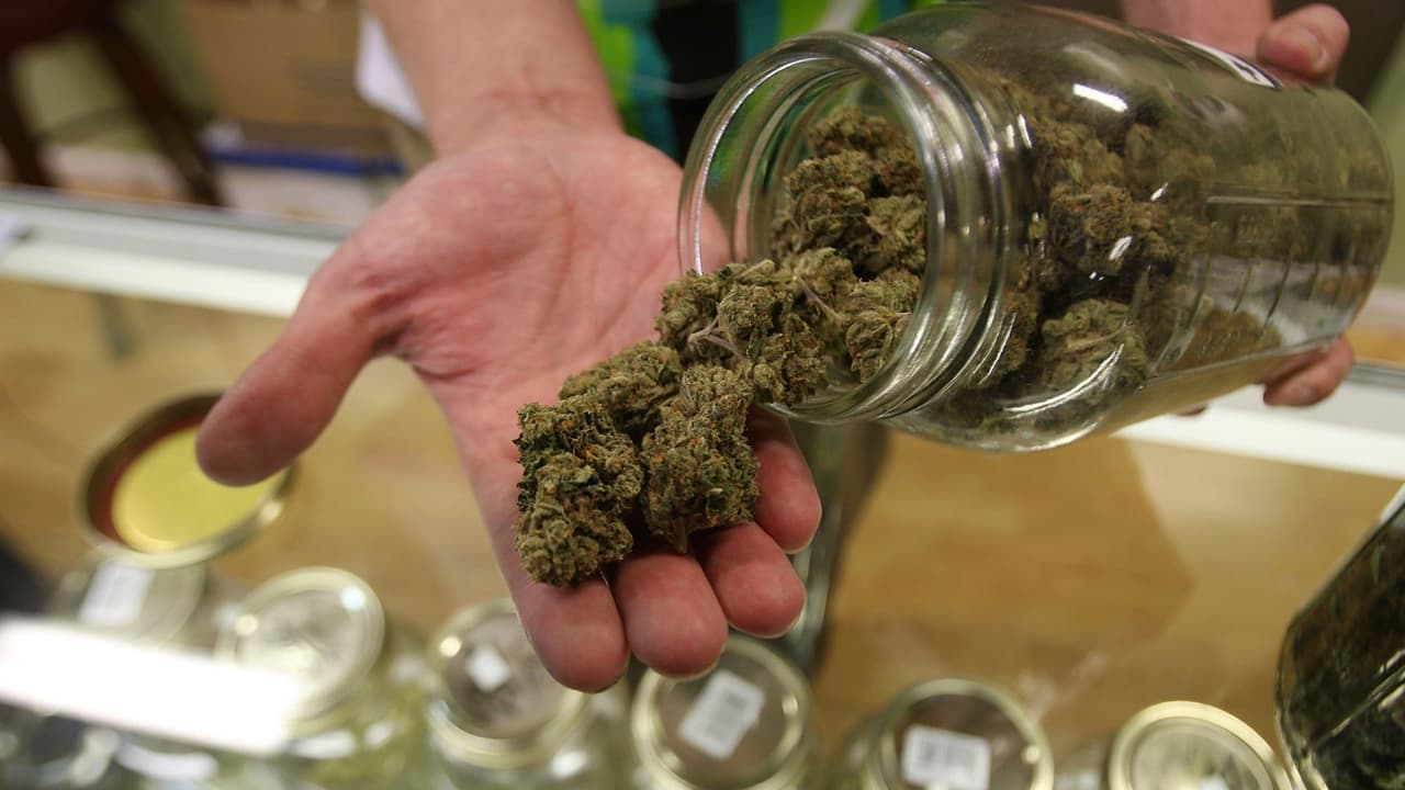 Las tiendas de marihuana de Chicago se abastecen para Lollapalooza