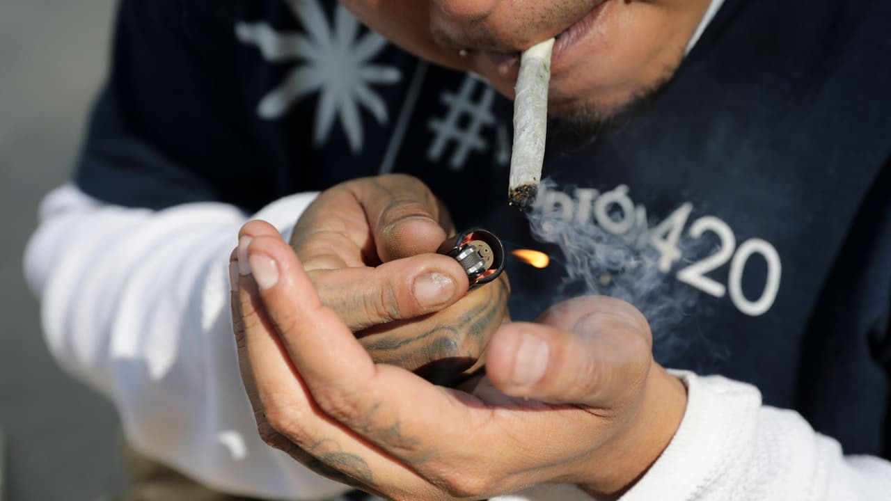 ¿La legalización de la marihuana recreativa en México reducirá la violencia de los carteles?