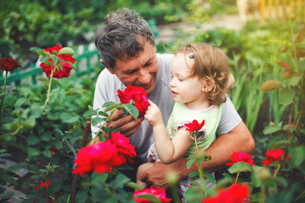 Así aprovechas esta doble energía para revitalizar tu mundo emocional y abrir tu corazón al amor, ese será tu teléfono síquico: ¡lo logarás!