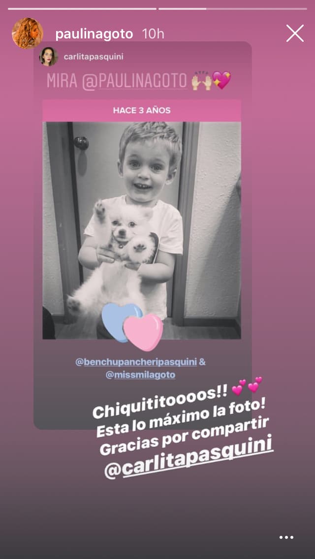 En esta imagen que Paulina compartió en sus historias de Instagram el domingo pasado se puede ver que la mamá del hijo de Pancheri le envió un video del pequeño Benicio.