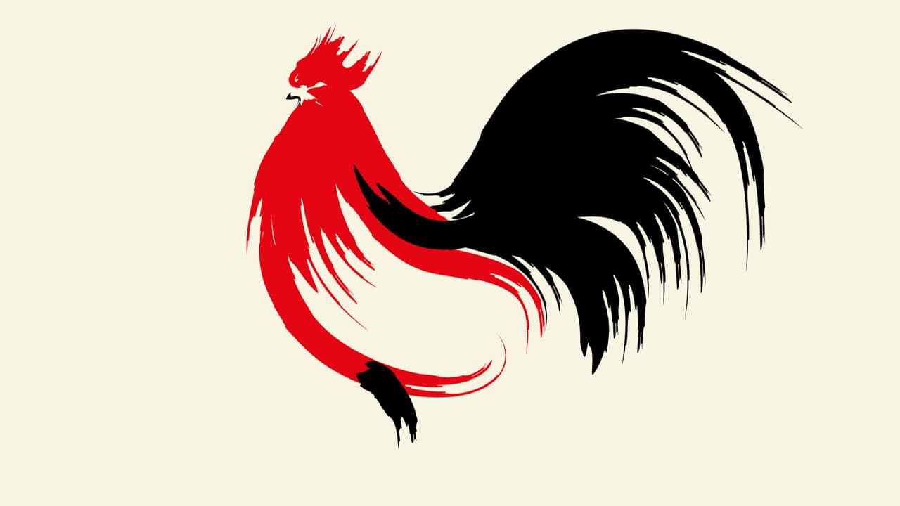 Si no sabes tu signo entra en la sección del Horóscopo Chino que encontrarás en la página de Horóscopos donde encontrarás tu signo y tus fechas.
<br>
<br>El Gallo, dentro del horóscopo chino corresponde a un horario específico, como todos los demás signos chinos, en este caso, entre las horas de las 5 pm hasta las 7 pm y se considera un signo del elemento metal, yin, de polaridad negativa.