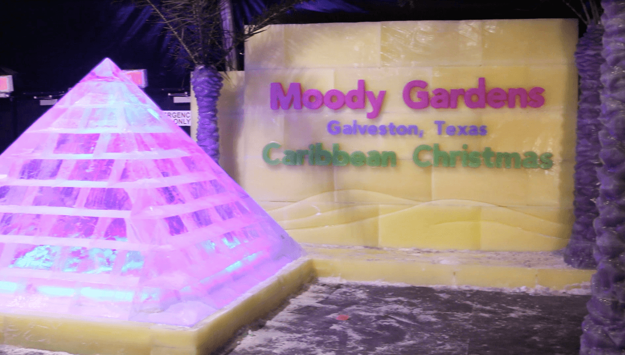 Navidad Caribeña, el tema de la exhibición de esculturas de hielo 'Iceland' del parque Moody Gardens.