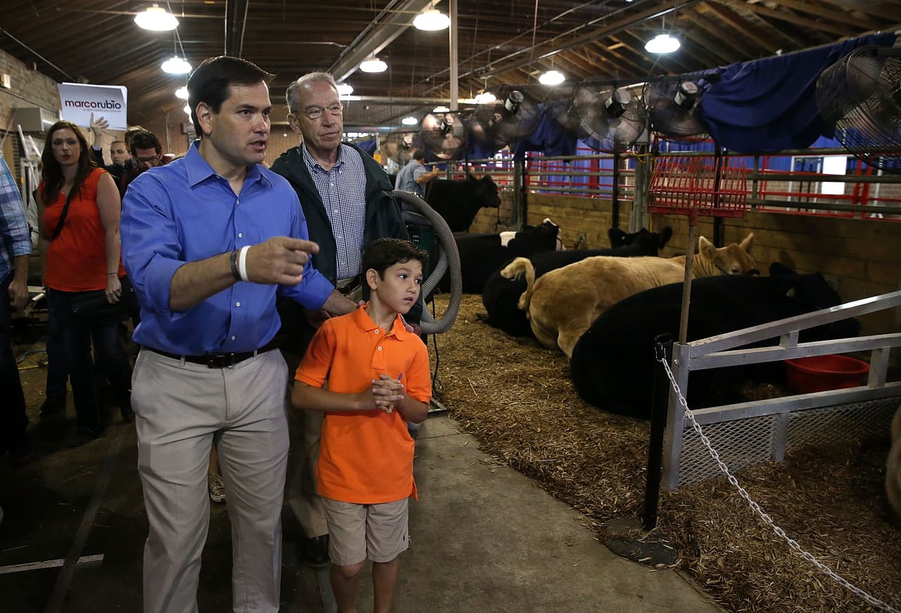 Marco Rubio durante picnic familiar en Iowa