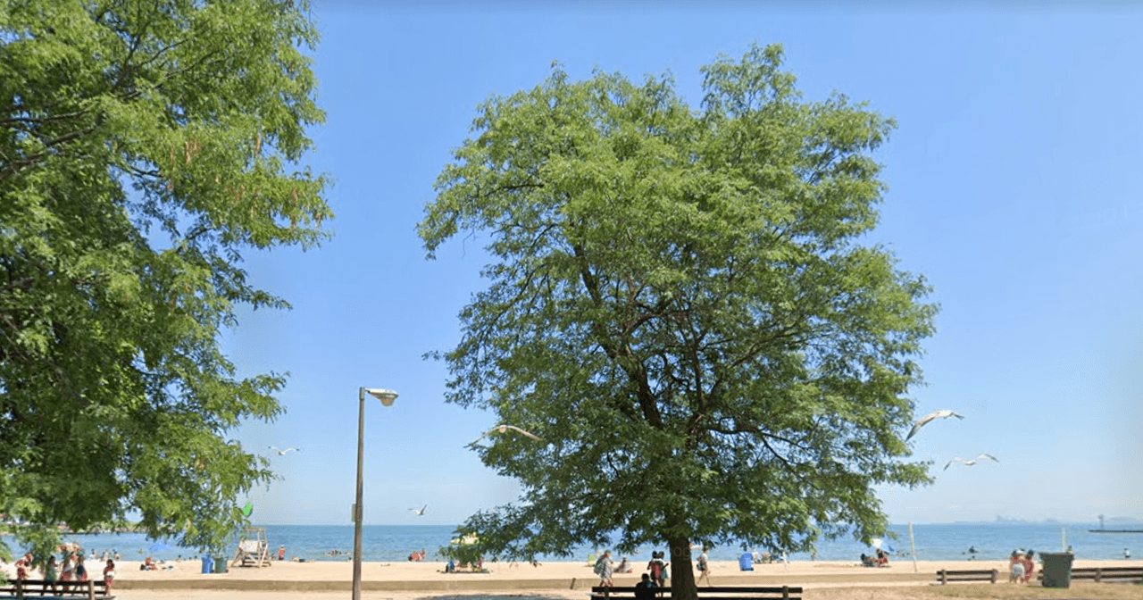 En la posición número 10 está la 
<b><a href="https://www.chicagoparkdistrict.com/parks-facilities/calumet-beach" target="_blank">playa Calumet</a></b>. Se reconoce por sus aguas más frías del Lago Michigan. Aquí los visitantes puedan olvidarse del calor del verano en esta playa. El horario es al igual que las anteriormente mencionadas. 
<br>