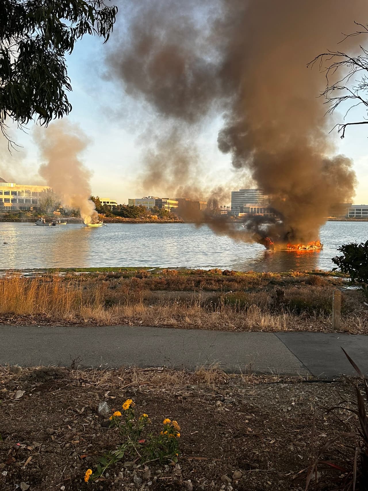 Hasta el momento, no se disponen de detalles adicionales sobre el incidente.