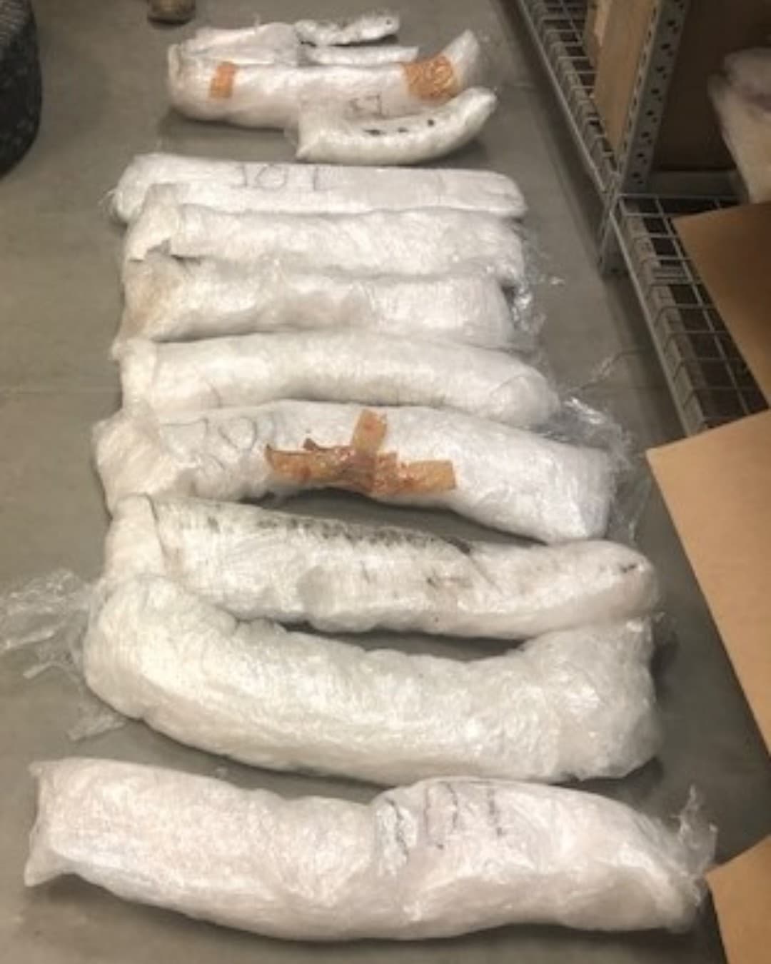 El fin de semana anterior, agentes de la estación Ajo arrestaron a dos ciudadanos estadounidenses y confiscaron 99 libras de metanfetamina.