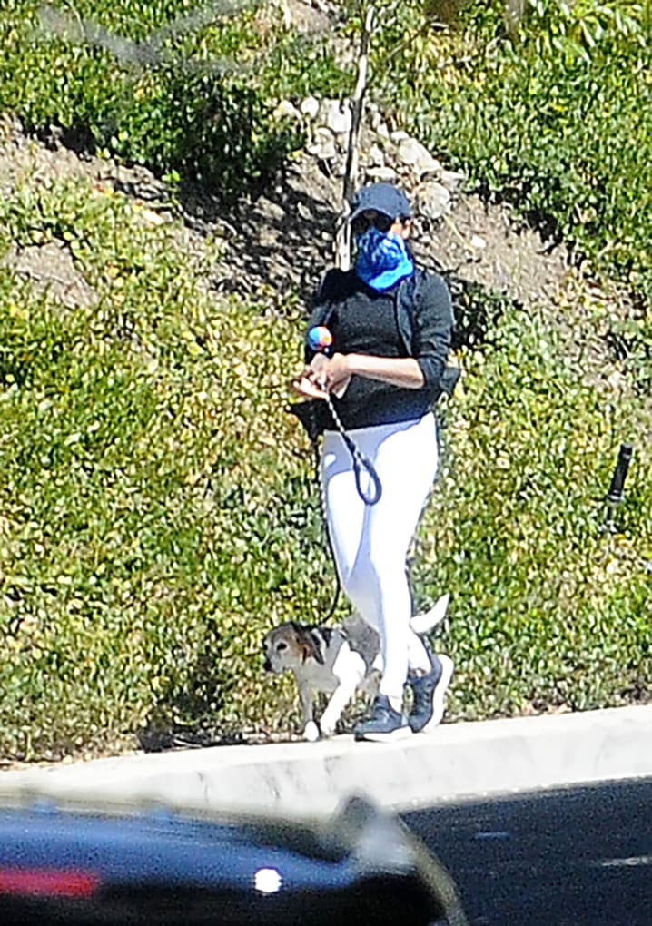 Antes de que Pula y Guy llegaran a la vida de Meghan Markle, ella ya había adoptado a Bogart, un cruce de pastor alemán y labrador. Pero 
<b><a href="https://www.univision.com/famosos/meghan-markle-antes-de-ser-famosa-estas-son-las-fotos-de-su-infancia-y-adolescencia-fotos" target="_blank">cuando se fue a vivir al Reino Unido</a></b>, lo tuvo que dejar en Canadá. 
<br>