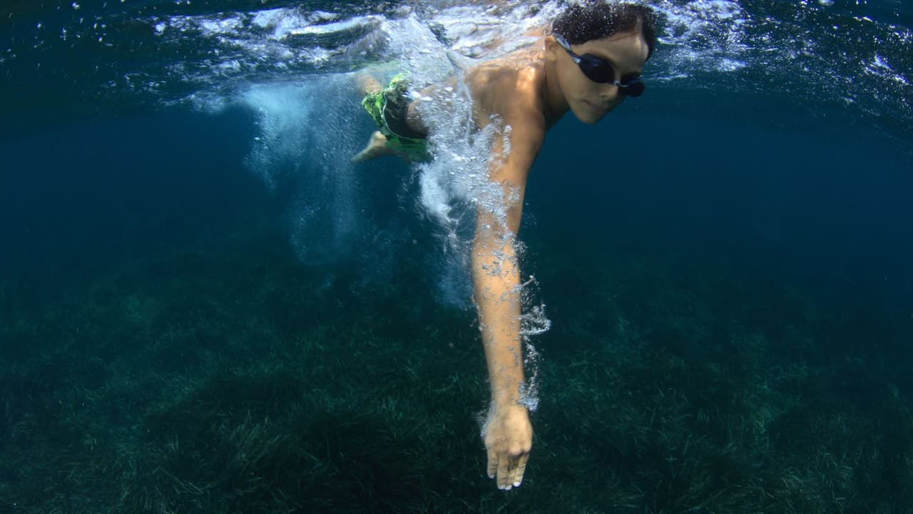 <b>7. Instala barreras de seguridad.</b> Para evitar accidentes en piscinas, instala barreras de seguridad y puertas con seguro para dificultar que los niños lleguen al agua. Si usas cubiertas de piscinas, solamente instala aquellas que cubren completamente la alberca y que están aprobadas por la ley en California.
<br>