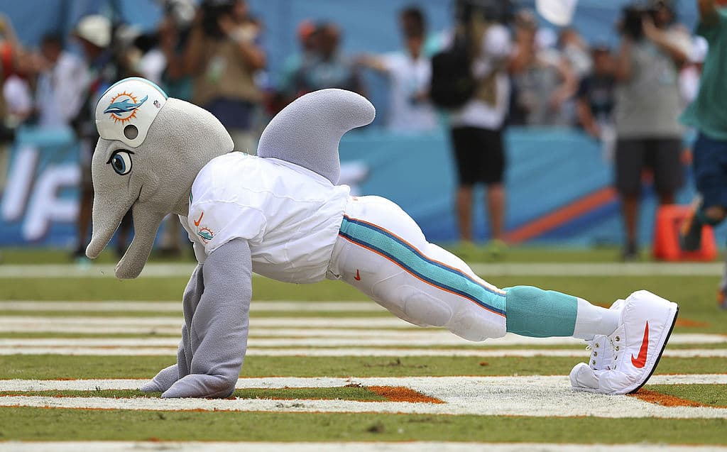 Siempre atlética la mascota de los Miami Dolphins.