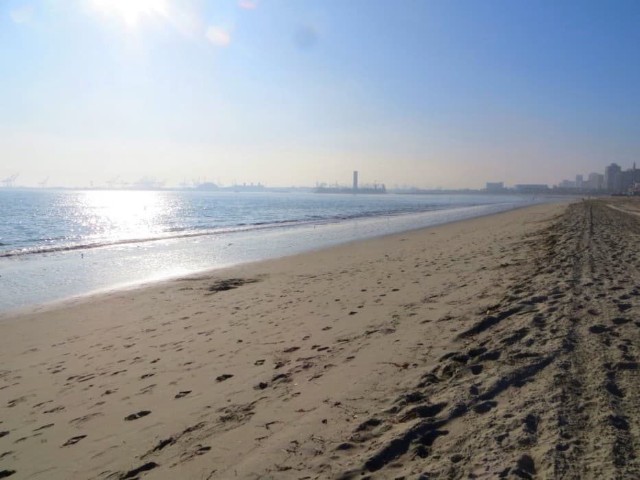 La playa de la ciudad de Long Beach en la avenida Coronado en el condado de Los Ángeles, presentó también alto nivel de agentes contaminantes en sus aguas, y fue calificada con una F.
