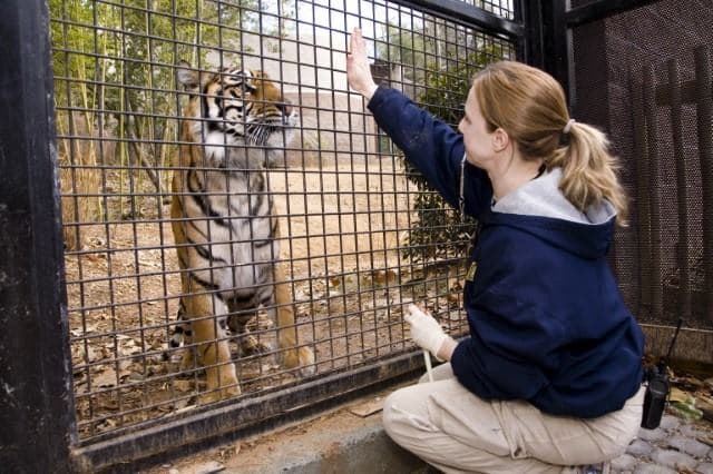 <b>Evento</b>: Rise and Dine with the Animals: Complex Carnivores
<br>
<b>Fecha</b>: Hasta el 20 de julio
<br>
<b>Lugar</b>: Zoo Atlanta. 800 Cherokee Avenue, S.E. Atlanta, GA
<br>
<b>Sitio web</b>: 
<a href="https://zooatlanta.org/program/rise-and-dine-with-the-animals/">https://zooatlanta.org/program/rise-and-dine-with-the-animals/</a> 
<br>
<br>En este evento podrás disfrutar de un desayuno continental mientras haces una vista matutina a los animales mientras se preparan para comenzar el día.