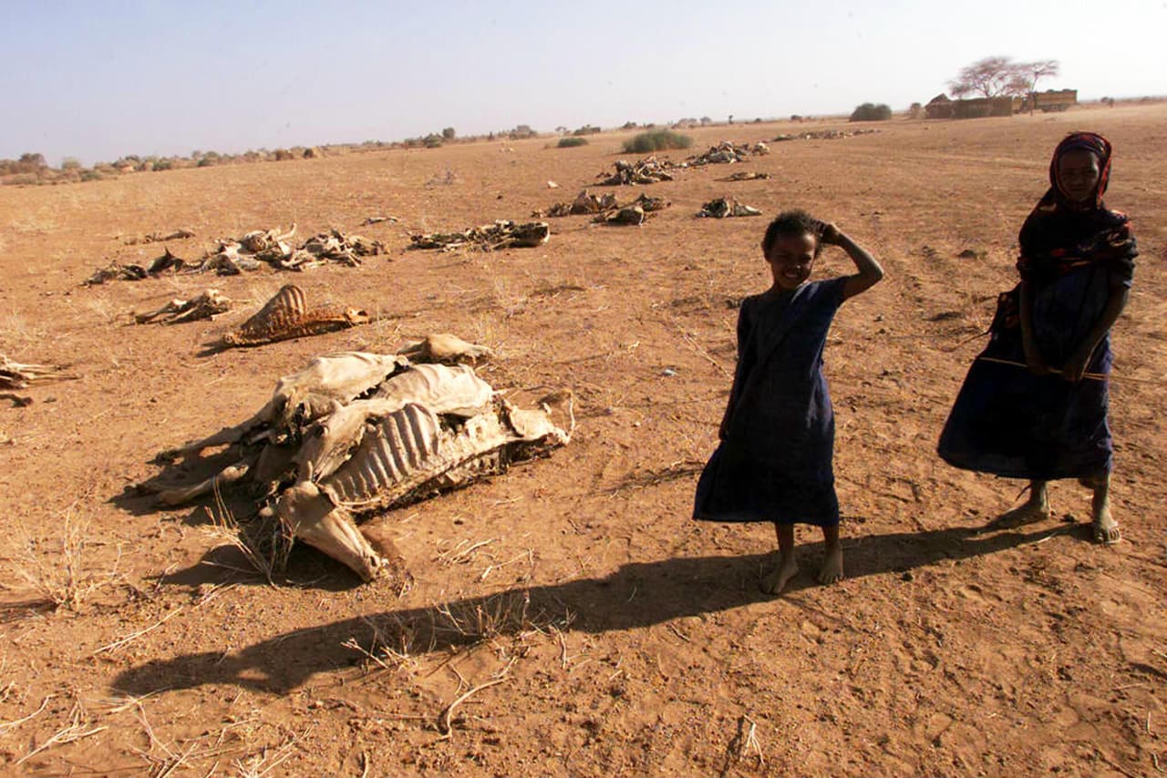 <h3 class="cms-H3-H3">2. Etiopía</h3>
<br>
<br>⛈️ 
<b>Muertes por año debido a desastres naturales, 1960-2022: </b>118.6 por millón de personas.
<br>
<br>⛈️ 
<b>Tipo de desastre natural más común: </b>Inundaciones (58 desde 1900).
<br>
<br>⛈️ 
<b>Desastre natural más mortal desde 1900: </b>Sequía de mayo de 1983 (300,000 muertes).
<br>
<br>⛈️ 
<b>Población: </b>117.9 millones de habitantes. 
<br>