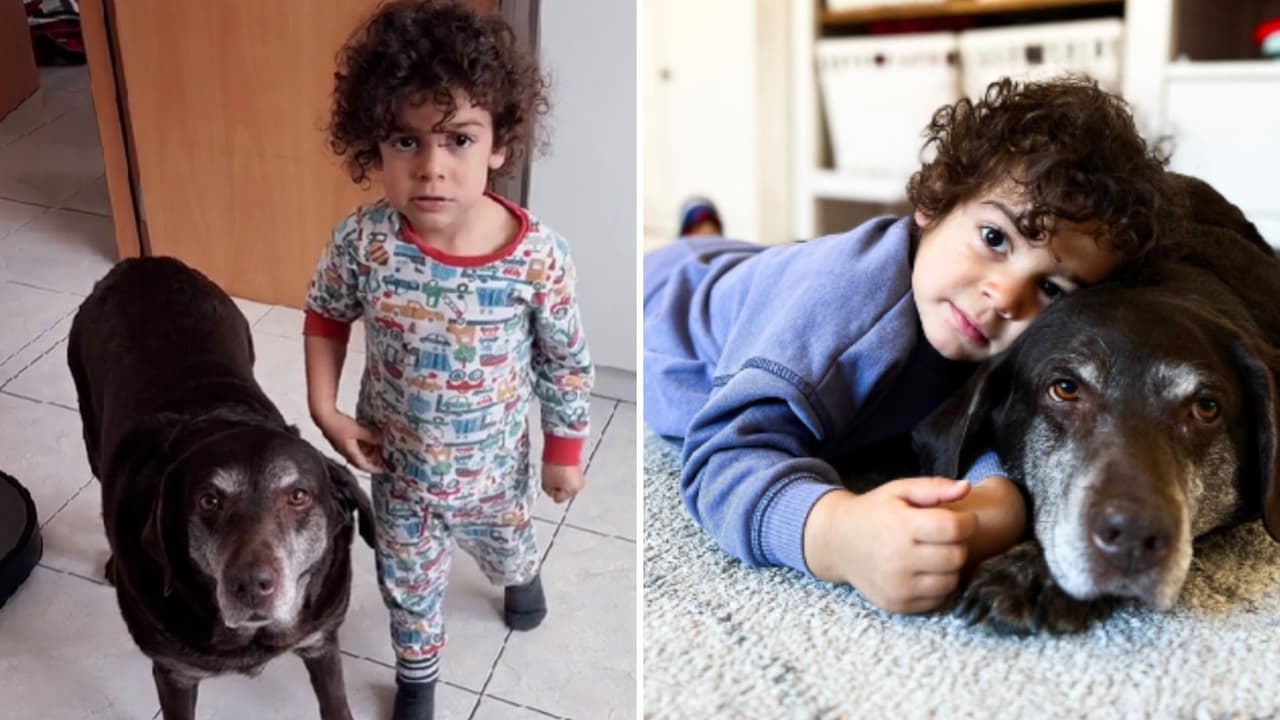 Bebé da impactante lección a su mamá: le enseña que "a los animales no se les pega"