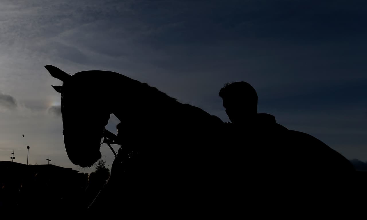 Sprinter Sacre tiene un registro de 24 carreras, 18 en las que obtuvo el primer lugar, 3 en el segundo puesto y uno en el tercero.