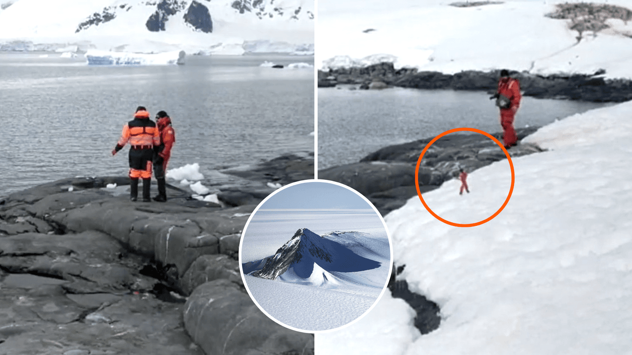 Video viral supuestamente muestra a persona diminuta en la Antártida.