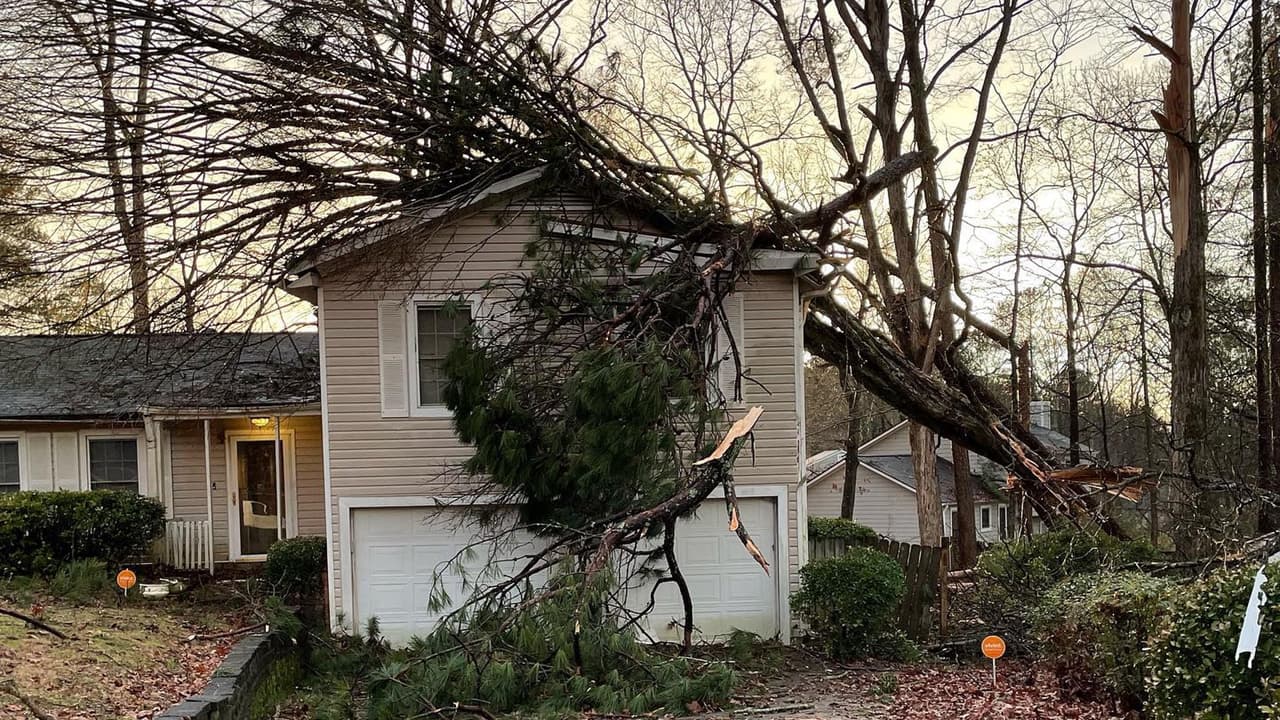 Un niño de 5 años muere tras ser aplastado por un árbol en el condado Butts 