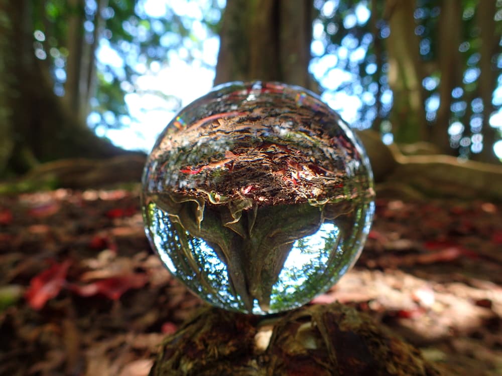 Cuenta la leyenda que el dios Shiva, mientras bailaba, de pronto se dio cuenta de los sufrimientos y penas de la humanidad, así que se puso a llorar. Sus lágrimas, al tocar la tierra, se transformaron en las semillas de rudraksha.