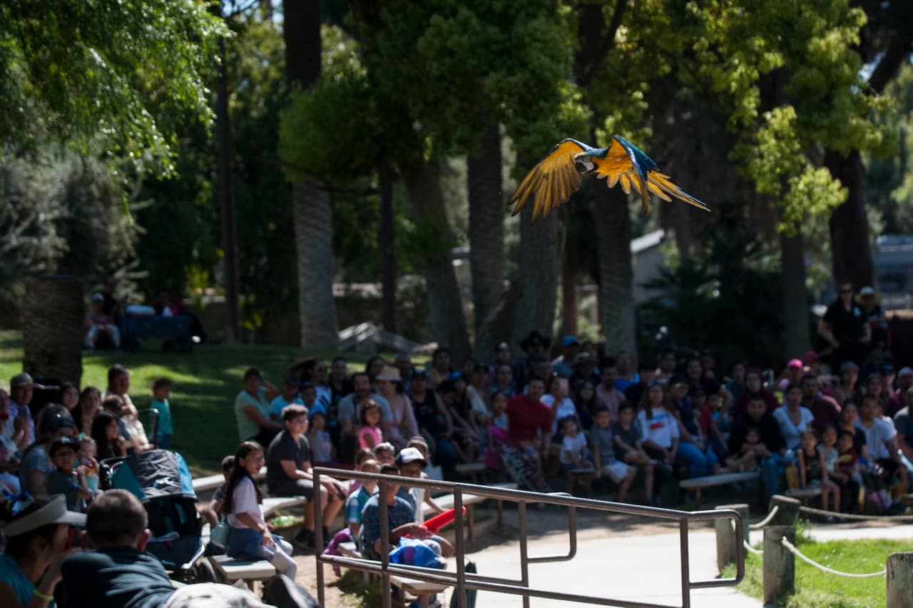 Un bello dia fue perfecto para las familias desde Bakersfield a Modesto.