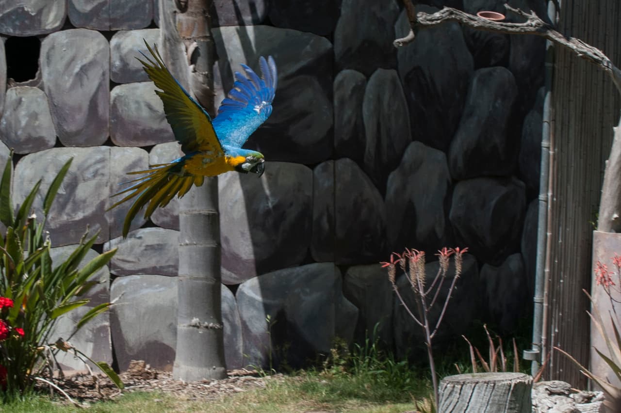 Un bello dia fue perfecto para las familias desde Bakersfield a Modesto.