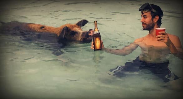 ¿Qué hace Enrique Iglesias brindando con ese cerdito? No sabemos, ¡pero saluuud!