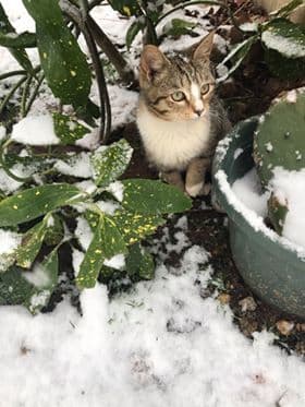 Foto de Sara Morales.