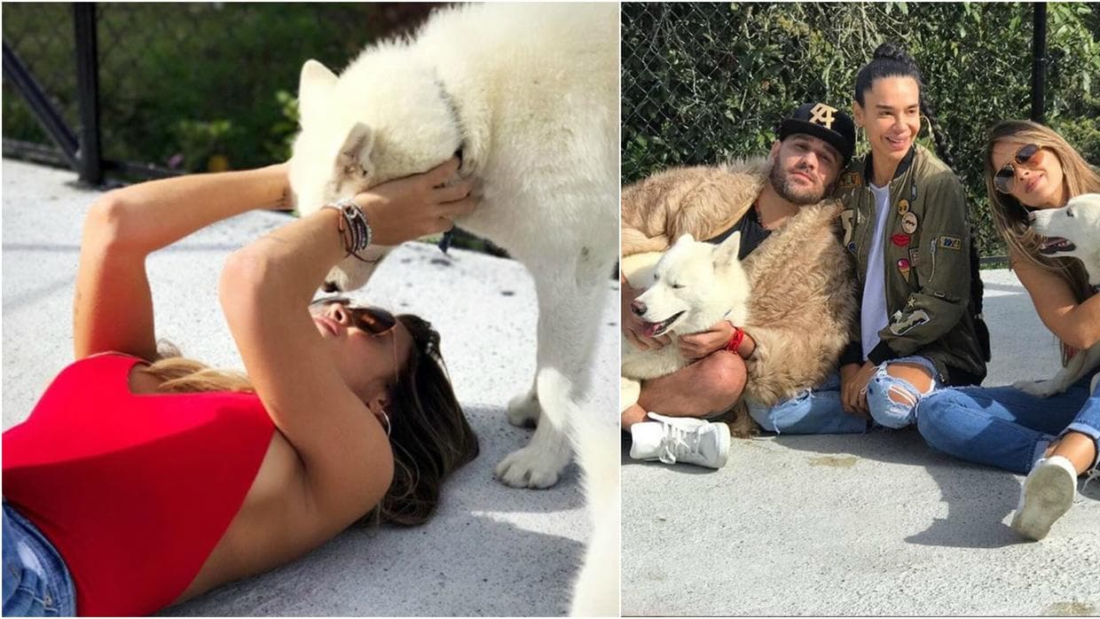 De Lima también es amiga cercana del colombiano, tanto así que se le ha visto cuidando a las mascotas del cantante, mientras este se encuentra de gira.