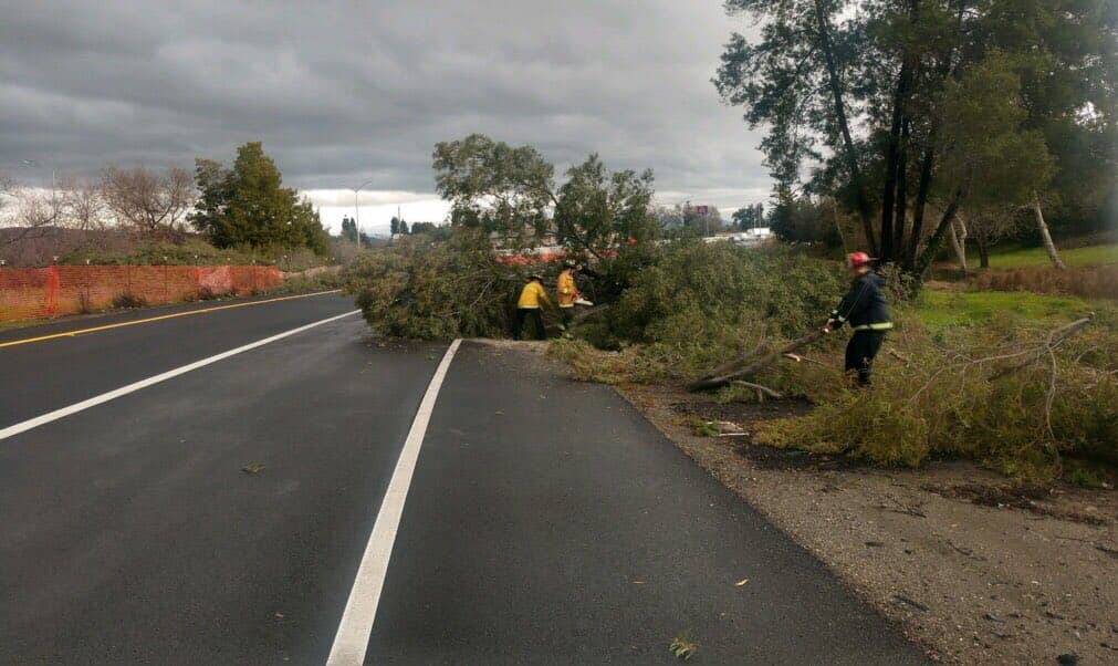 Las fuertes rachas de viento derribaron un árbol sobre la carretera 880 en dirección sur. Afortunadamente no se reportaron personas heridas.