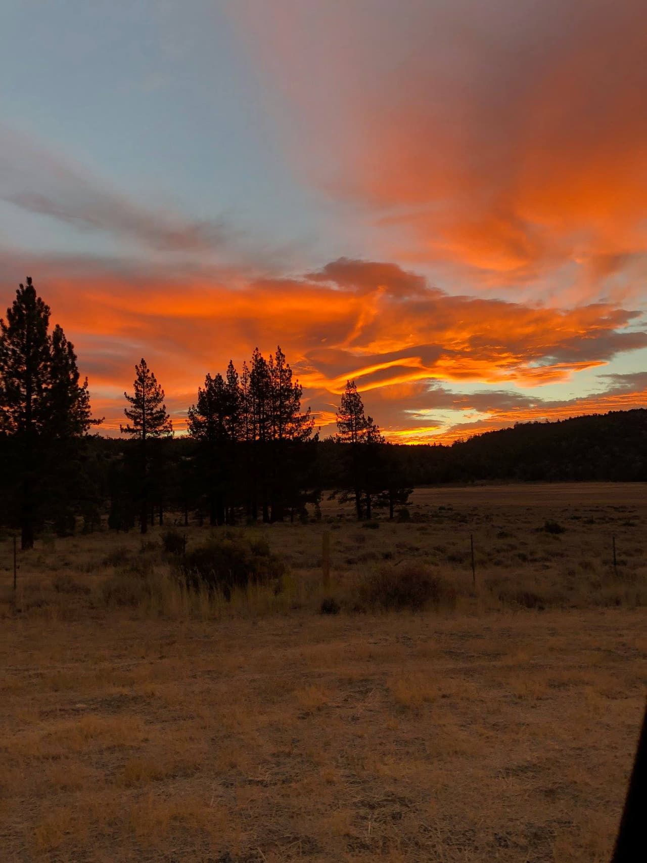 <b>El condado Alpine, </b>también ubicado en la frontera con Nevada, refleja una cantidad de desempleados que antes de la pandemia del coronavirus no existían. Al conteo de junio, en este condado, 
<b>un 19,8% de sus residentes está sin trabajo.</b>
