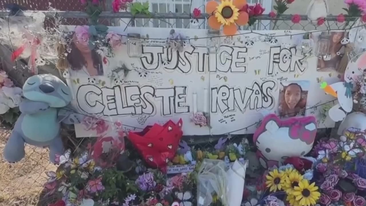¿Qué dicen los mensajes de texto entre Celeste Rivas y el cantante D4vd? Revelan nuevos detalles
