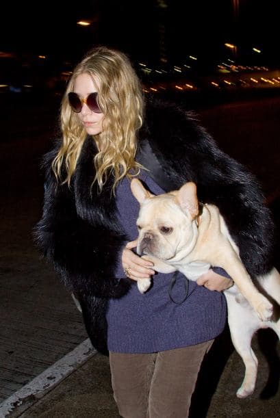 ¡Ashley Olsen está segura de que su adorable y hermoso Bulldog francés es la mascota adecuada para ella!