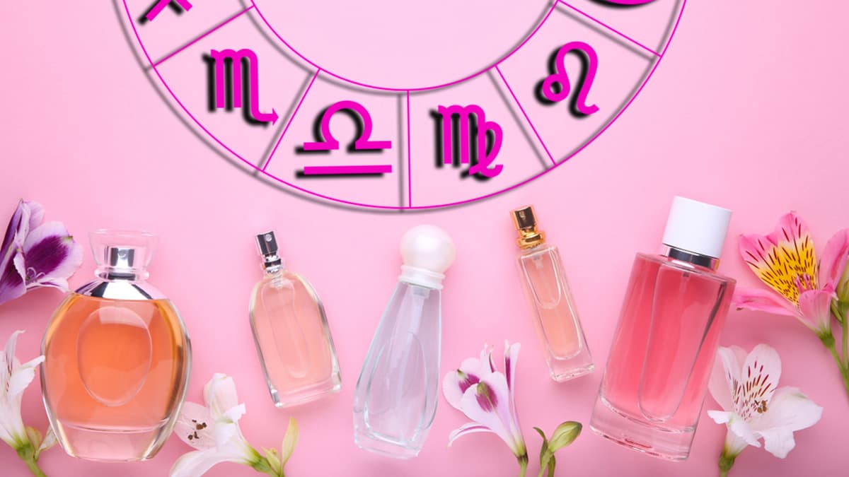 Todos queremos oler bonito, es un hecho. Pero, ¿no te pasa que es estresante elegir tu perfume, loción, fragancia o aroma ideal? Entre tantas opciones que hay allá afuera, ¿cuál es la mejor? ¡No todas son iguales!