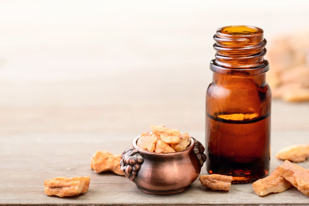 Hay dos tipos de estoraque, el ámbar líquido, que puede venir en aceites, y el estoraque ordinario que proviene del Styrax officinale, árbol más común que el que da el benjuí.