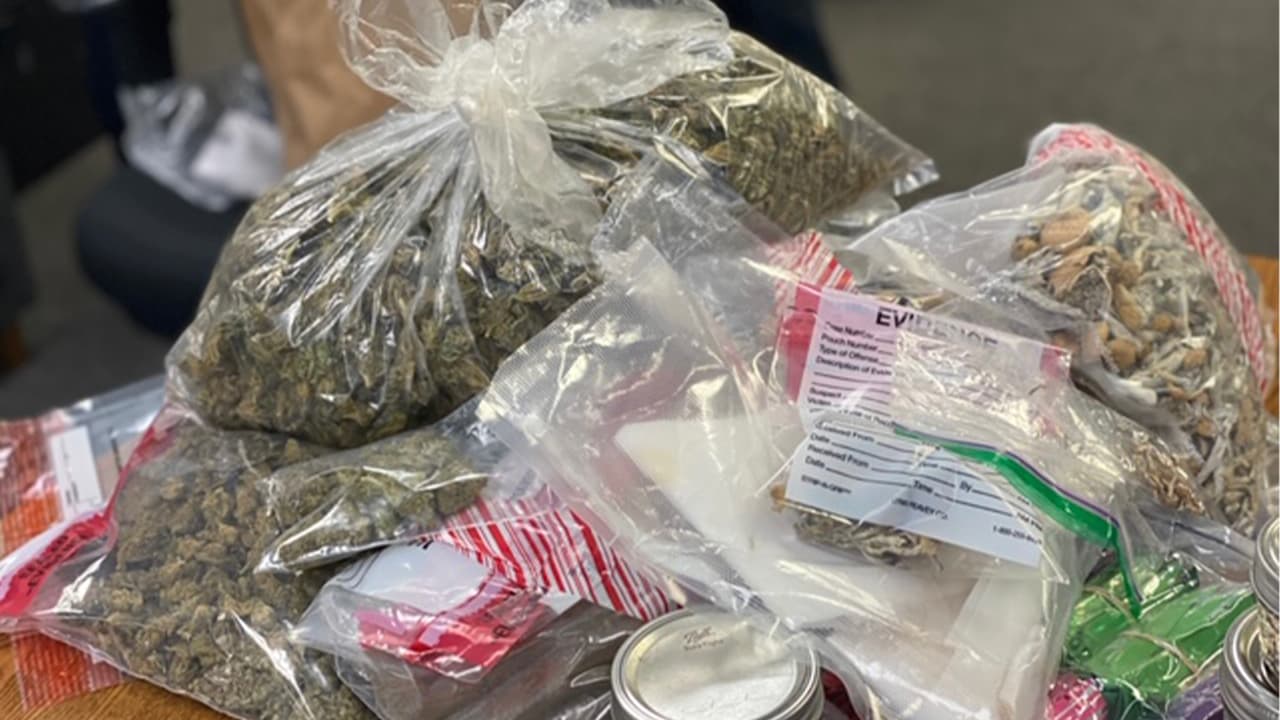 Las autoridades indicaron que la incautación tiene un valor de 2,000 dólares.