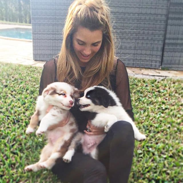 Los rumores de una reconciliación de este par comenzaron cuando William viajó a Sudáfrica y Eli dejó la obra en la que estaba trabajando para seguirlo.