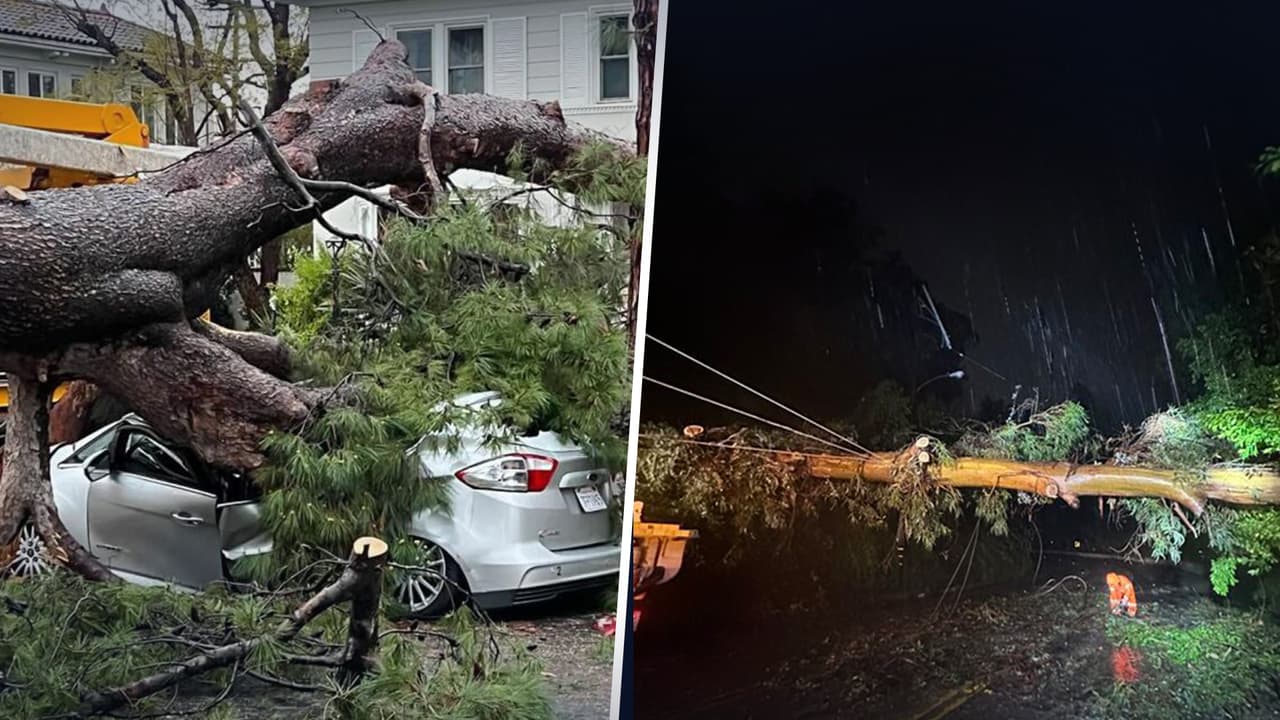 Tormenta invernal provoca que enorme árbol caiga sobre auto y casa en Inglewood 
