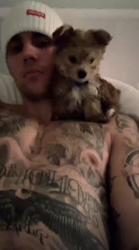 En sus historias publicó una serie de tiernos videos donde se ve cómo juega con el cachorro.