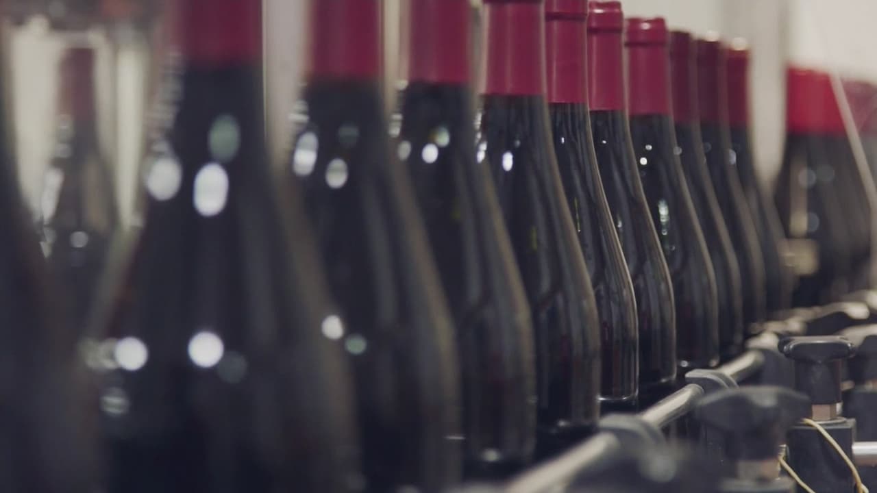 Montgomery se impulsa como la sede de producción de vino tinto de Maryland