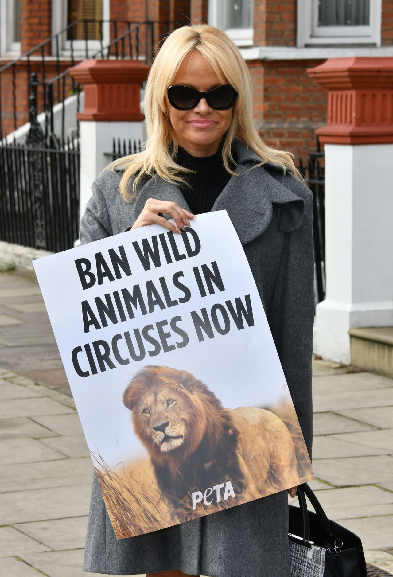 Pamela salió una vez más en defensa de los animales.